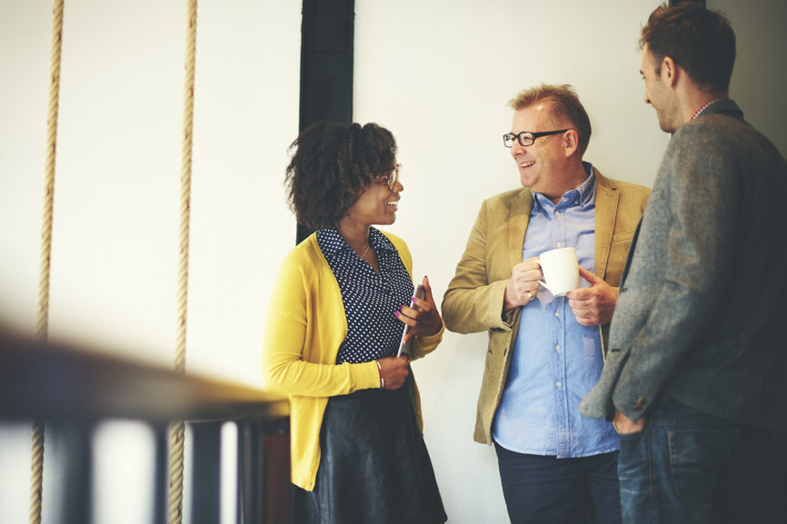Leadership Competency Models, Assessment, and Blended Learning Solution
